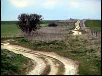 The Ridgeway at Overton. April 2003